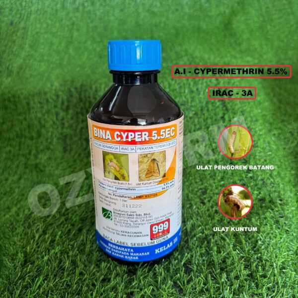 RACUN SERANGGA BINA CYPER 5.5EC